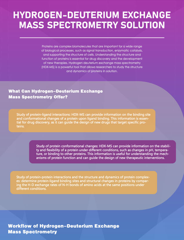 Hydrogen-Deuterium Exchange Mass Spectrometry Solution