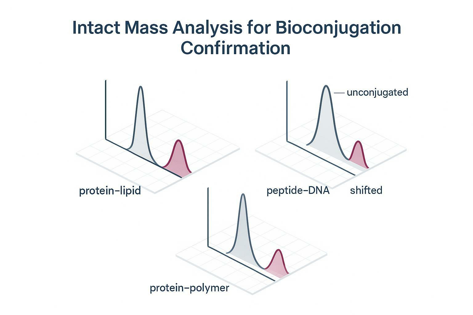 Cover image showing intact mass spectra with peak shifts for protein–lipid, peptide–DNA, and protein–polymer conjugates