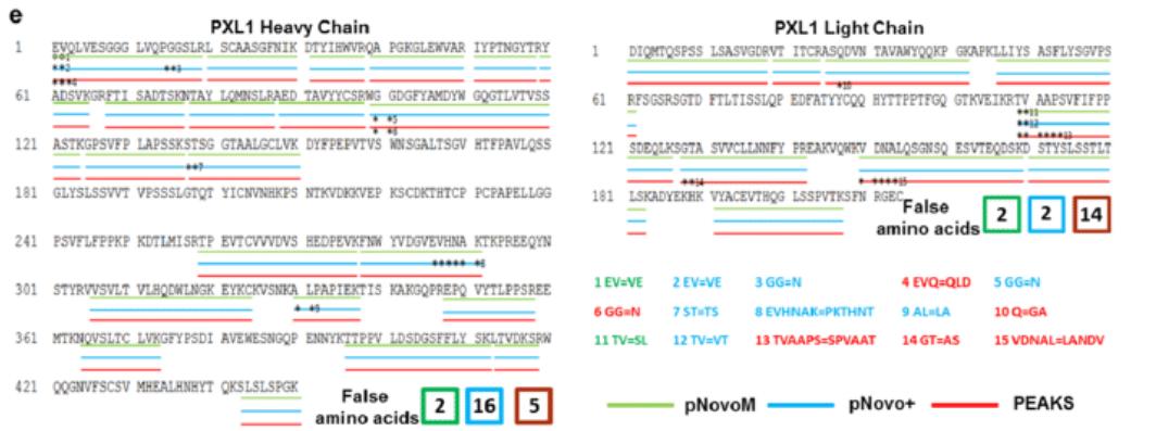 Monoclonal Antibody De novo Sequencing