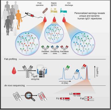 Figure 3 Mass spectrometry-based de novo sequencing of serum antibodies