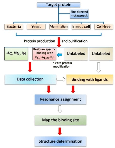 Nuclear Magnetic Resonance (NMR) Spectroscopy