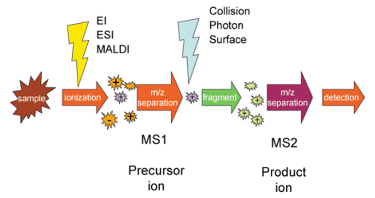 Tandem_mass_spectrometry