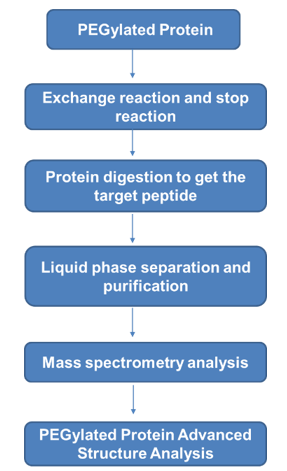 PEGylated Protein Advanced Structure Analysis Service