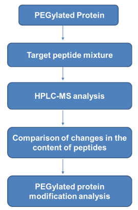 PEGylated Protein Modification Analysis Service