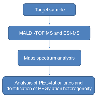 PEGylation Sites and PEGylation Heterogeneity Identification Service