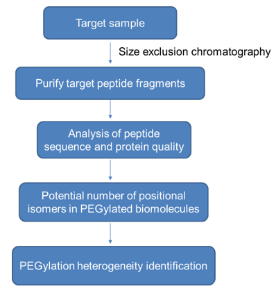 PEGylation Sites and PEGylation Heterogeneity Identification Service