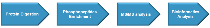 Phosphorylation Protein Analysis Service