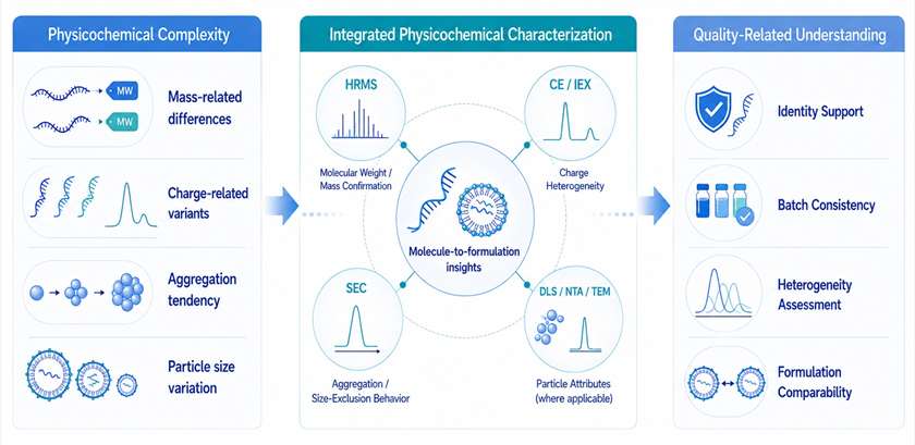 Infographic showing physicochemical complexity, integrated characterization methods, and quality-related insights for nucleic acid drugs.