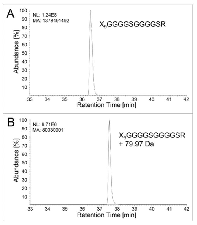 Figure from Tyshchuk et al. 2017 — LC-MS/MS identification of linker phosphorylation in bispecific fusion protein