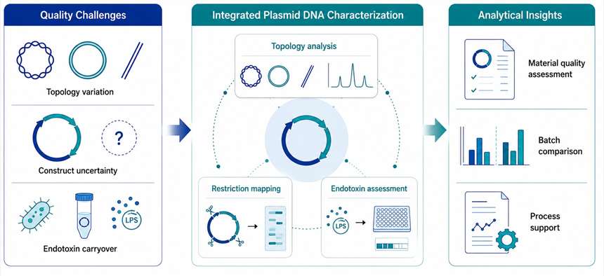 Infographic showing plasmid DNA quality challenges, integrated characterization approaches, and analytical insights for material quality assessment, batch comparison, and process support.