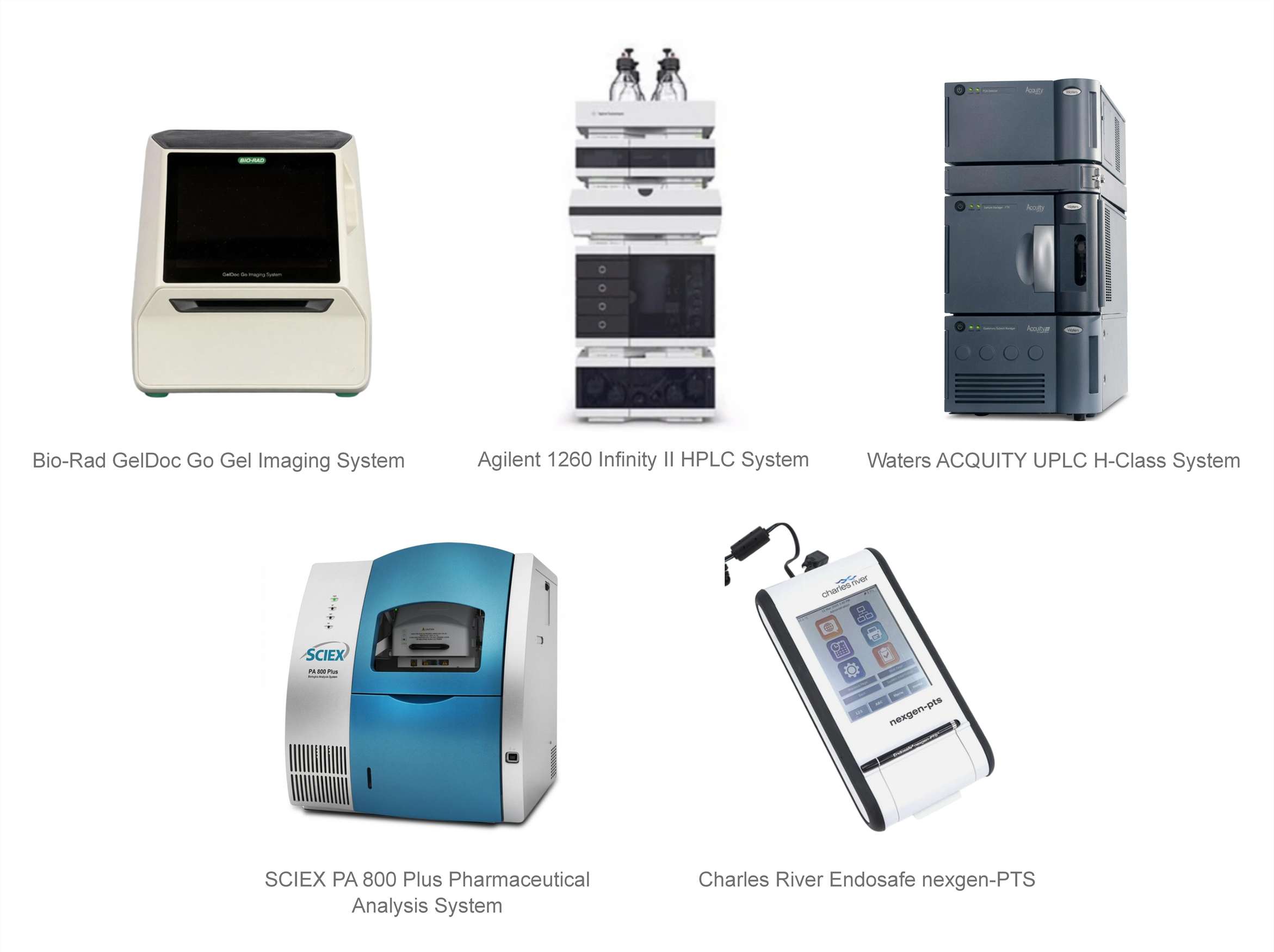 Representative analytical platforms for plasmid DNA characterization, including gel imaging, capillary electrophoresis, applicable HPLC/UPLC-based systems, and endotoxin testing systems.