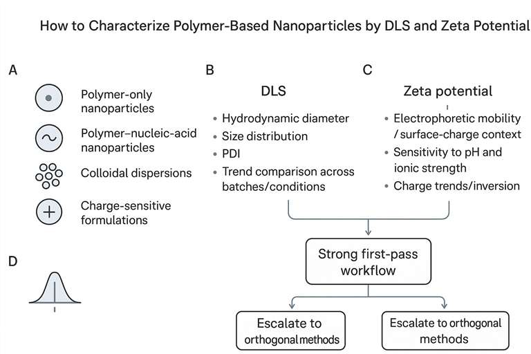 Decision workflow for DLS and zeta potential characterization of polymer based nanoparticles and nucleic acid associated nanoparticle systems