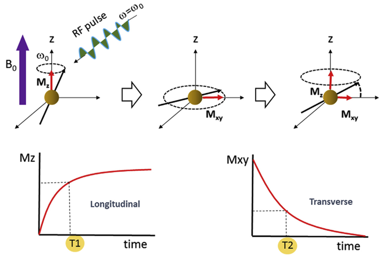 Principles of Nuclear Magnetic Resonance (NMR) Technology