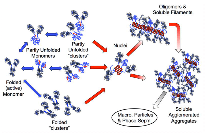 Multiple non-native aggregation pathways for a multi-domain protein