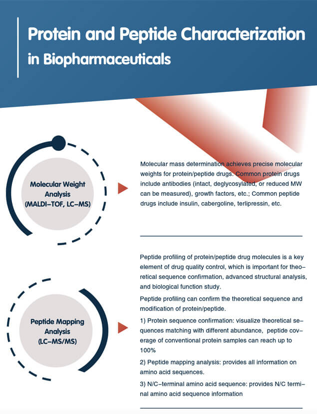 Protein/Peptide Drug Characterization