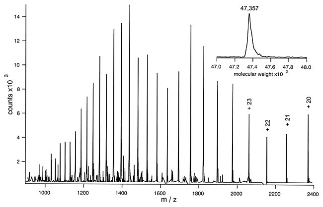 ESI Mass Spectrum of Lac Permease