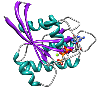 Protein Secondary Structure Characterization Methods