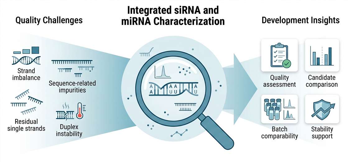 Intro infographic showing quality challenges in siRNA and miRNA therapeutics, integrated analytical characterization, and development insights for quality assessment, candidate comparison, batch comparability, and stability support.