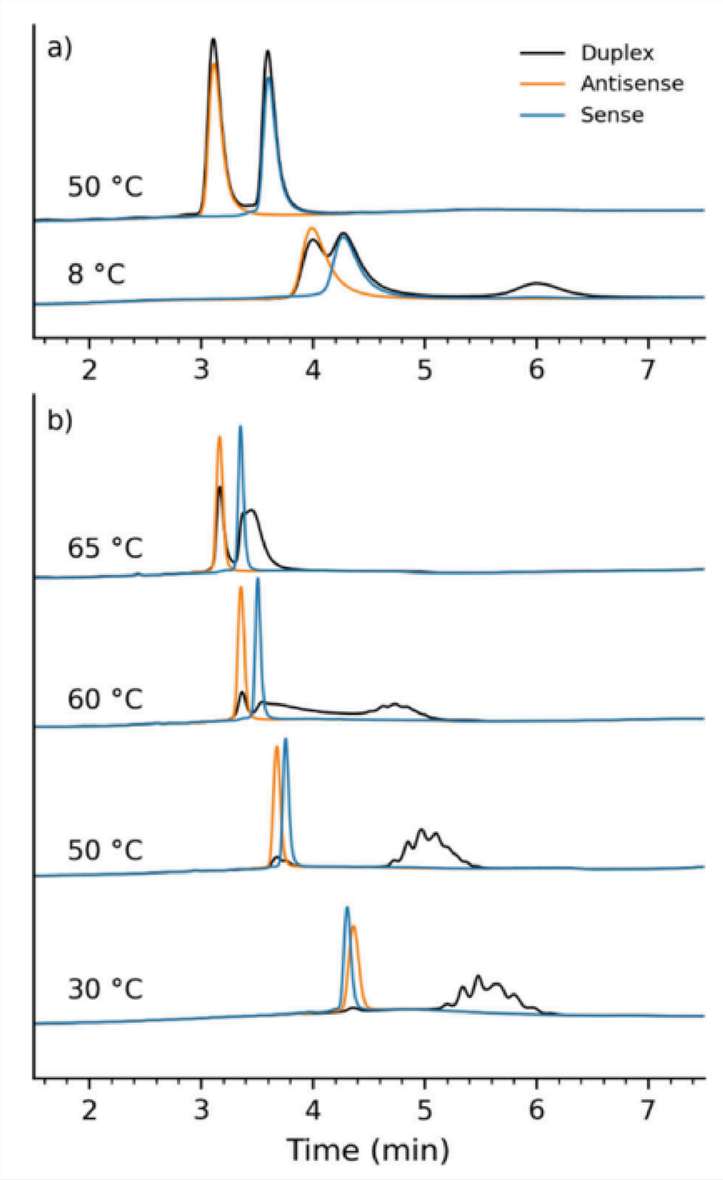UV elution profiles comparing siRNA duplex, sense strand, and antisense strand behavior under IP-RPLC conditions with and without PBS.