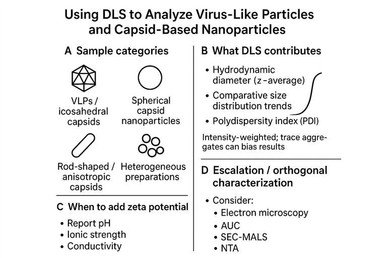 Decision workflow for DLS analysis of virus-like particles and capsid-based nanoparticles with PDI and zeta potential considerations