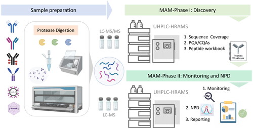 Figure 3: Typical workflow of Multi-Attribute Method (MAM)