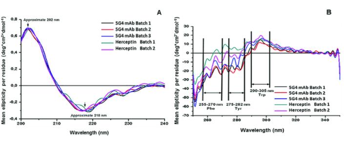 Figure 4: Circular Dichroism (CD) Spectra of Monoclonal Antibody Drug (a) far-UV CD spectrum; (b) near-UV CD spectrum.