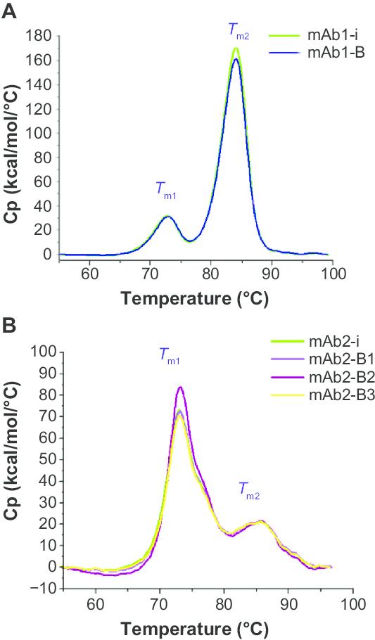 Figure 5: DSC analysis of mAbs. (A) Thermal stability profile of mAb1 and (B) thermal stability profile of mAb2.