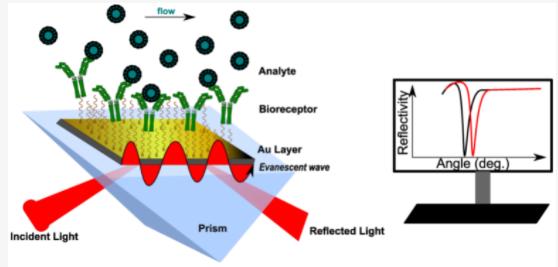 Figure 6: Schematic Principle of Surface Plasmon Resonance (SPR) Technique