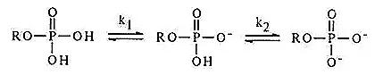 What is Isoelectric Point