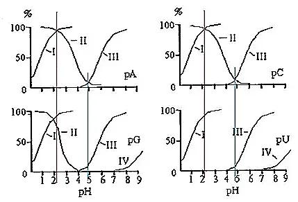 What is Isoelectric Point