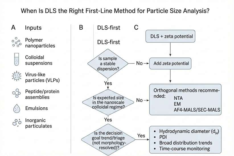 Decision workflow showing when DLS is the right first line method for particle size analysis and when zeta potential or orthogonal methods are needed