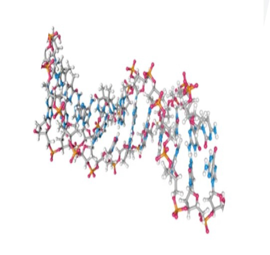 Edman Degradation