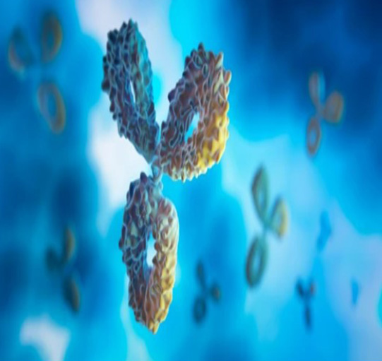 PCR Based Antibody Sequencing