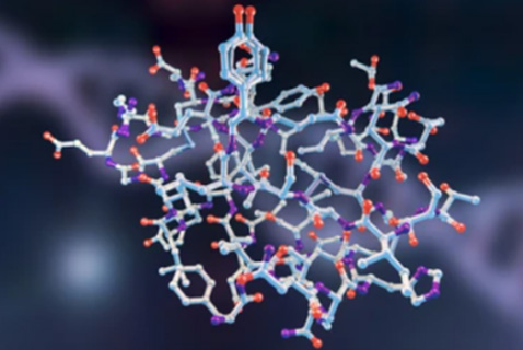 Peptidomic Analysis Services