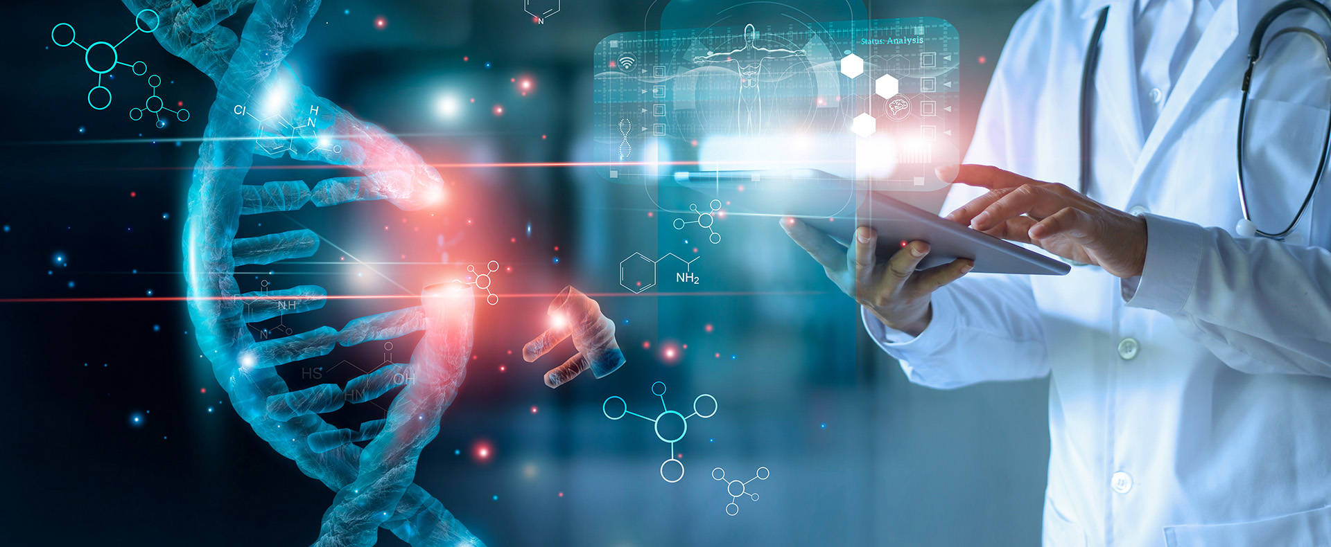 N-Glycan Modification and Modification Site Analysis Service