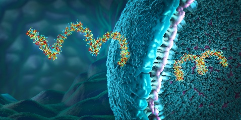 Nanopore Protein Sequencing