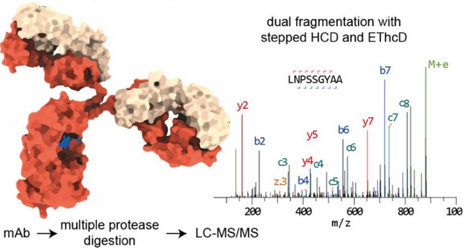 Fig. 1. De novo protein sequencing of monoclonal antibodies.