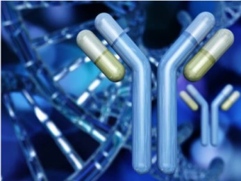 Antibody Epitope Mapping Service