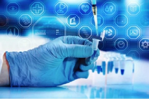 Antibody N-Terminal Cyclization Analysis Service