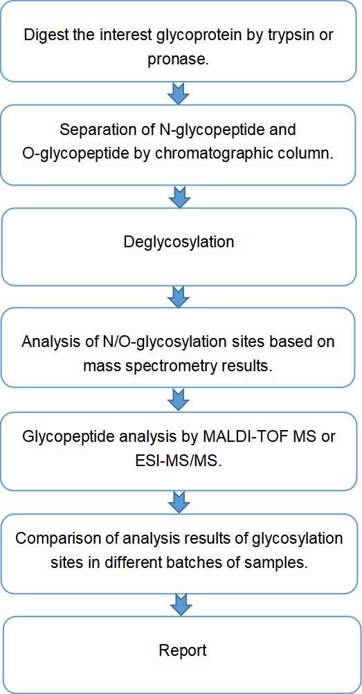 Fig. 2. Workflow of our glycation site analysis services.
