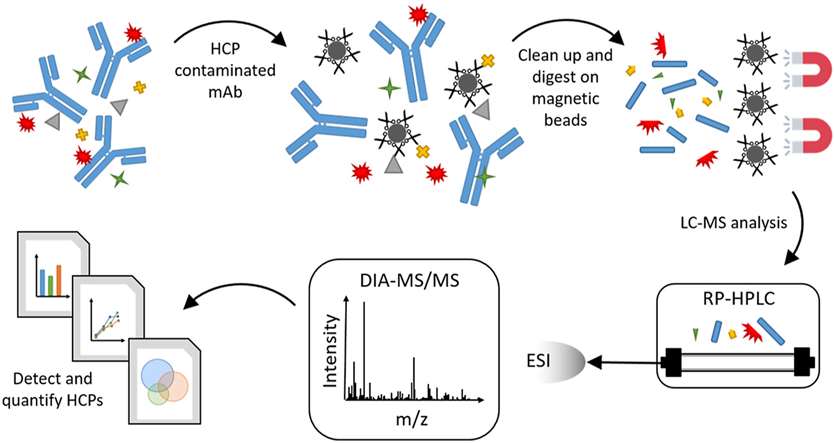 Fig. 1. Detection and quantitation of host cell proteins in monoclonal antibody drug products using LC-MS/MS.