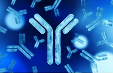 Antibody De Novo Sequencing