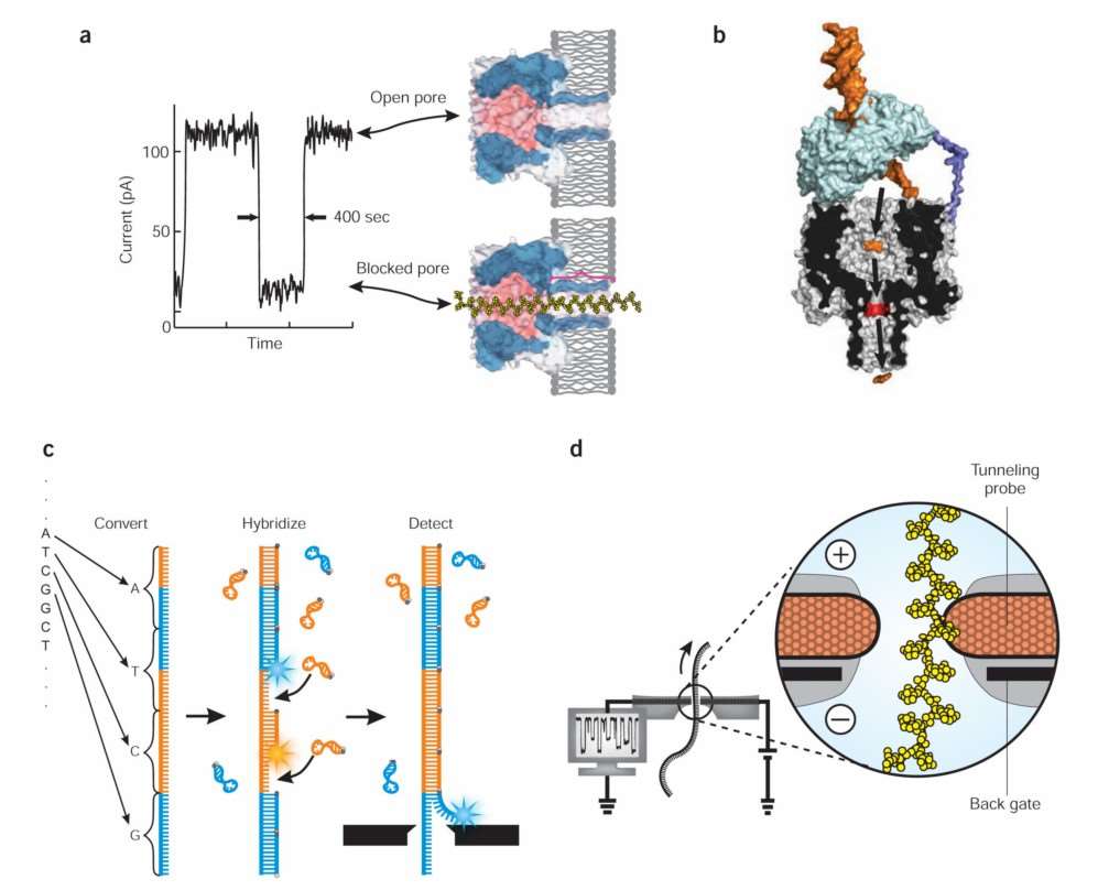 Fig. 1. Approaches to nanopore sequencing.