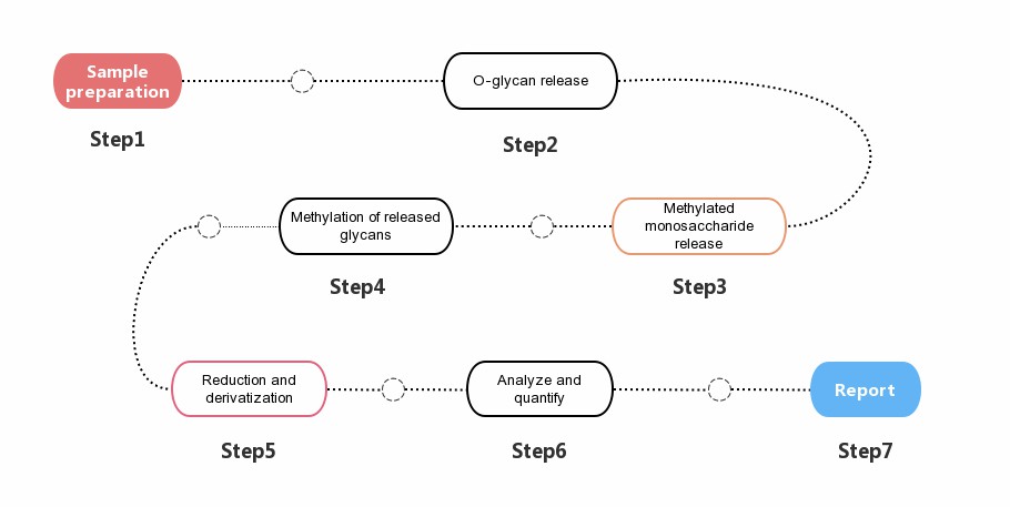 Fig. 2. General workflow for O-glycan analysis.