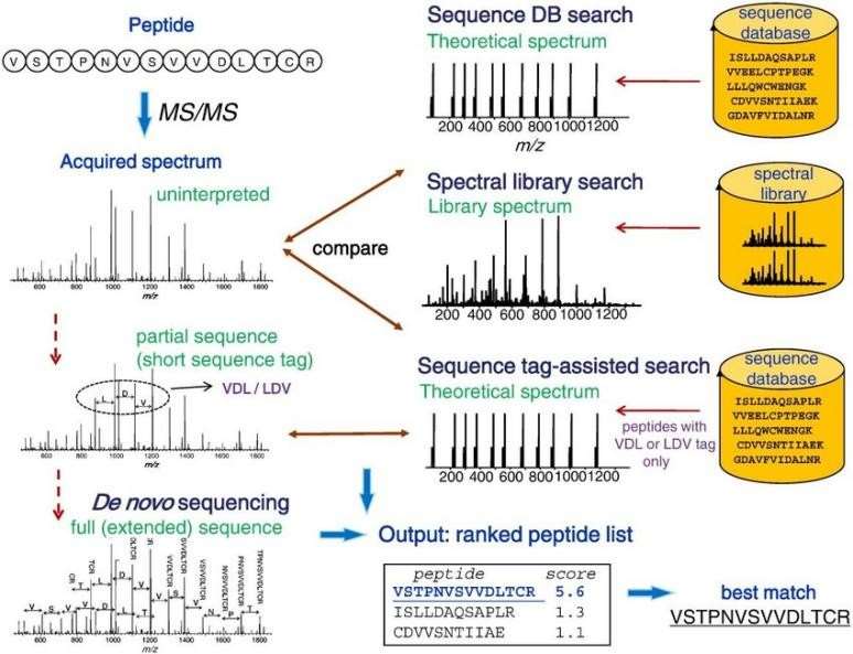 Fig. 1. Four peptide identification strategies Sequence DB search, spectral library search, sequence tag-assisted search and De novo sequencing search are used for peptide identification.