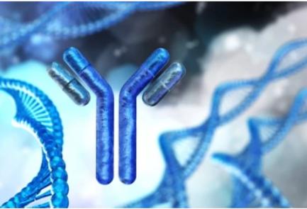 Antibody De Novo Sequencing