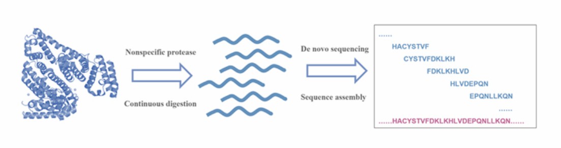 Fig. 1. Full-length protein sequencing based on continuous digestion using non-specific proteases.