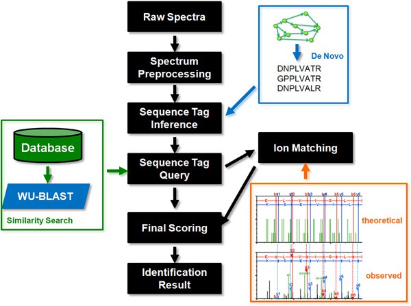 Fig. 1. Brief overview of the NovoDB identification method.