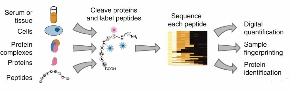 Fig. 1. Overview of single-molecule fluorosequencing.