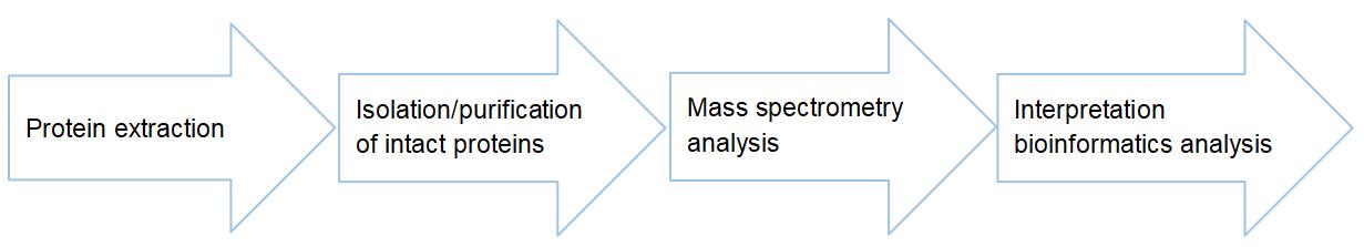 Experiment Process